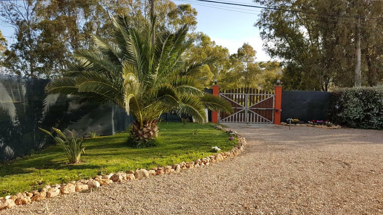 Guesthouse Pintadera Santa Maria la Palma Bagian luar foto